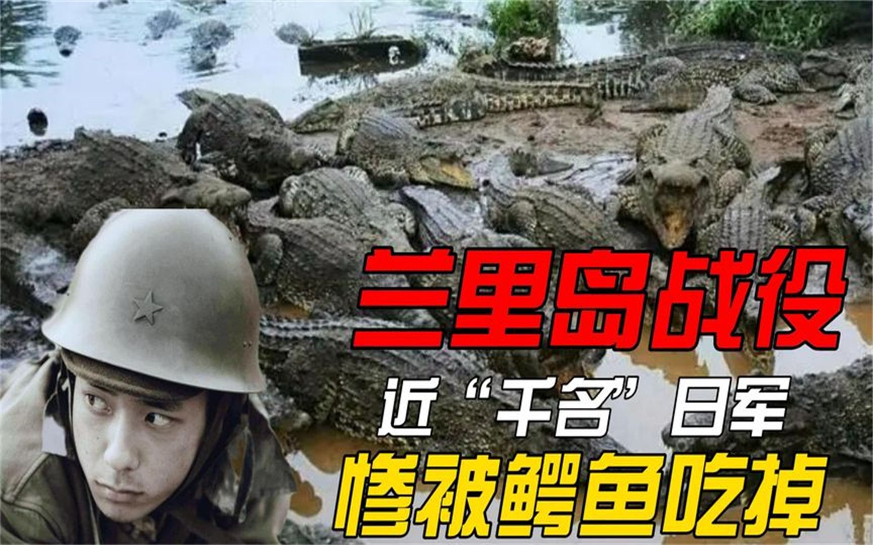 二战兰里岛鳄鱼食人事件,鳄鱼吃掉了1000多名日军,有多离谱?