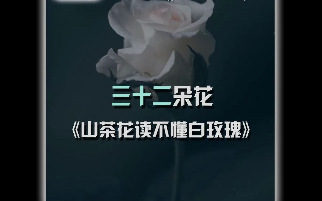 三十二朵花哔哩哔哩bilibili