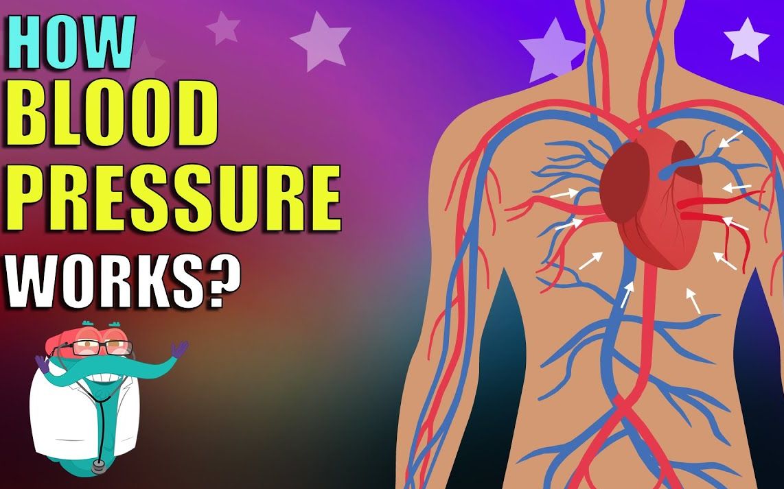 [图]看动画学英语|血压是如何工作的|Blood pressure work