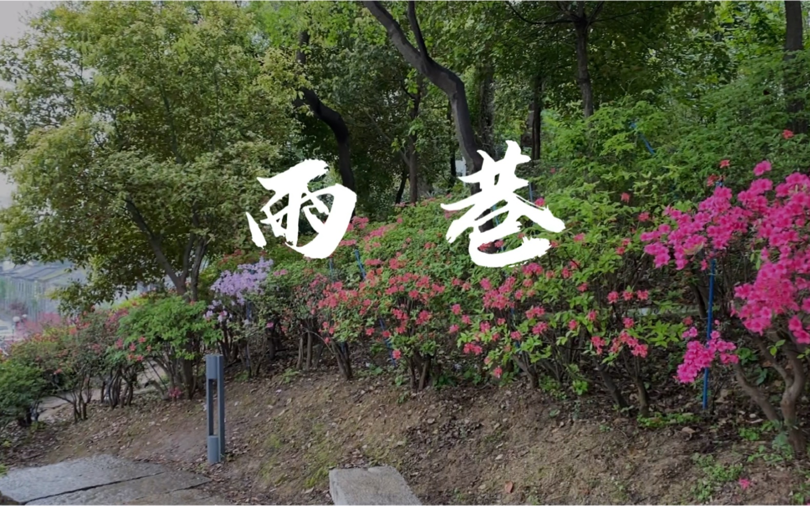 雨巷 戴望舒 朗誦黃少景_嗶哩嗶哩 (゜-゜)つロ 乾杯~-bilibili