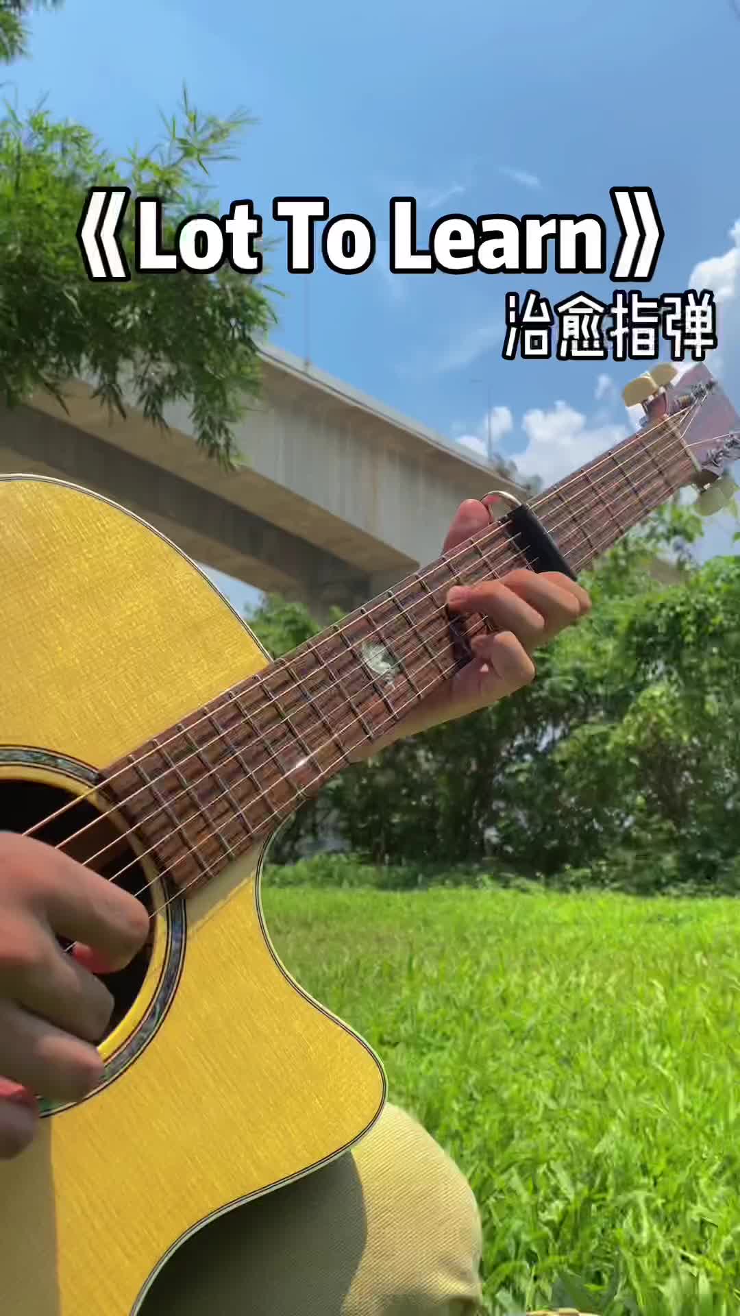 我差一点就碰到月亮了可惜天亮了lottolearn治愈系音乐