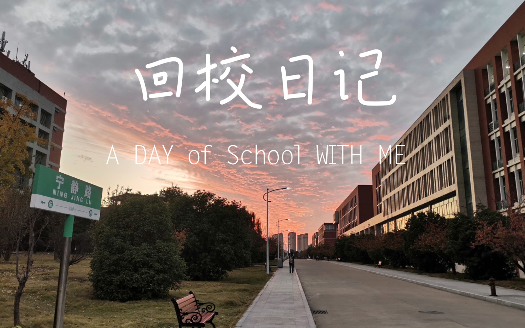 vlog15—回校!朕的太子们该想我了啊哈哈