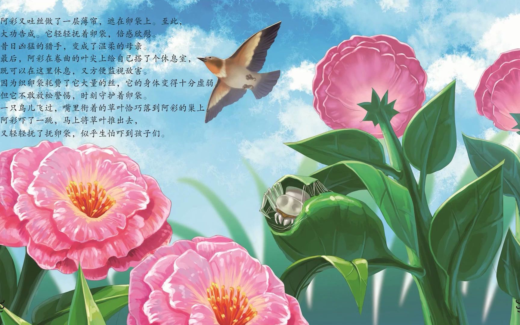 昆虫记:蟹蛛,蔷薇下执着的母亲