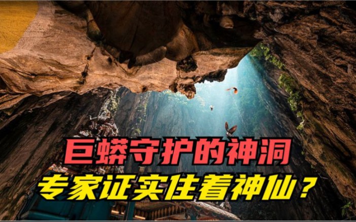 探秘天门山神洞巨蟒镇守洞口专家证实神仙真的存在纪录片
