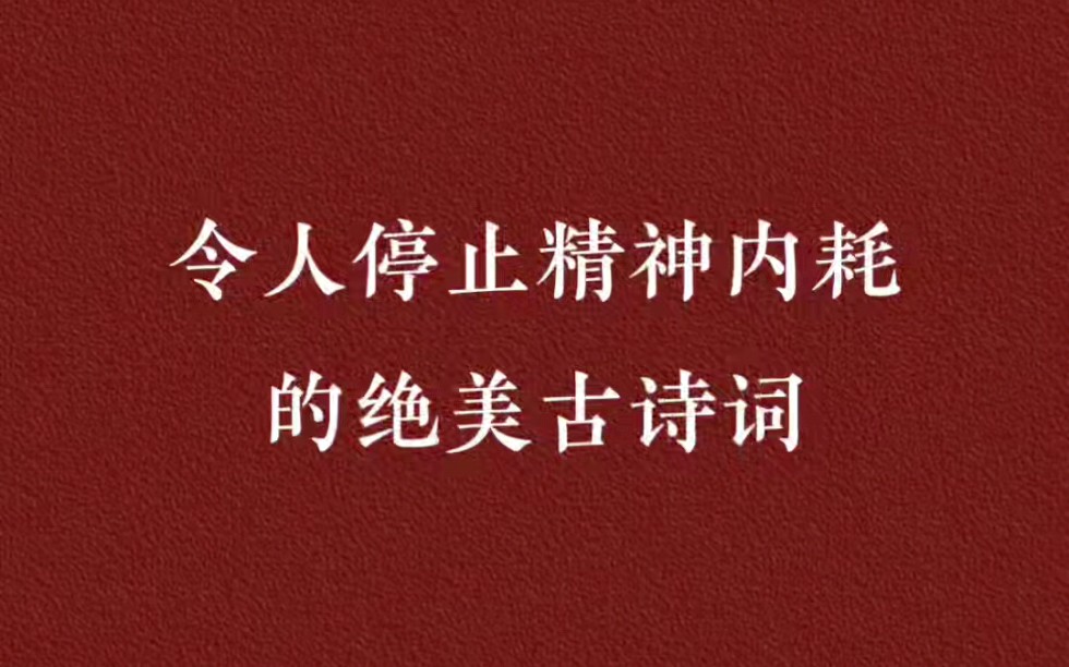 试试读读古人的诗词吧,也许能让你停止内耗!哔哩哔哩bilibili