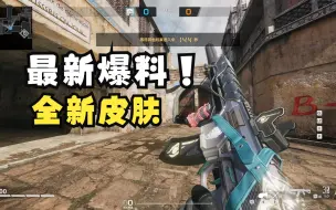 Download Video: 【生死狙击2】最新皮肤爆料-QBZ192星夔特勤