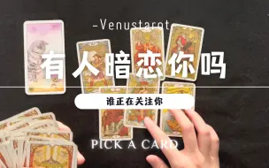 Download Video: 【Venus塔罗】大胆点进来：目前有人暗恋你吗？