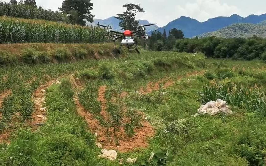 鼎峰无限喷药植保无人机综合防治大福姜病虫害问题哔哩哔哩bilibili