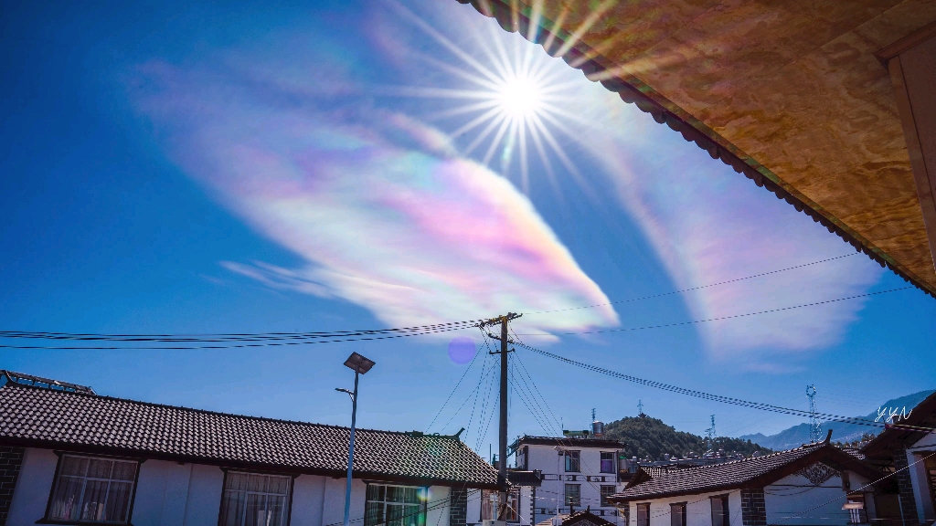 贝母云,2020的最后一天,一个好兆头!