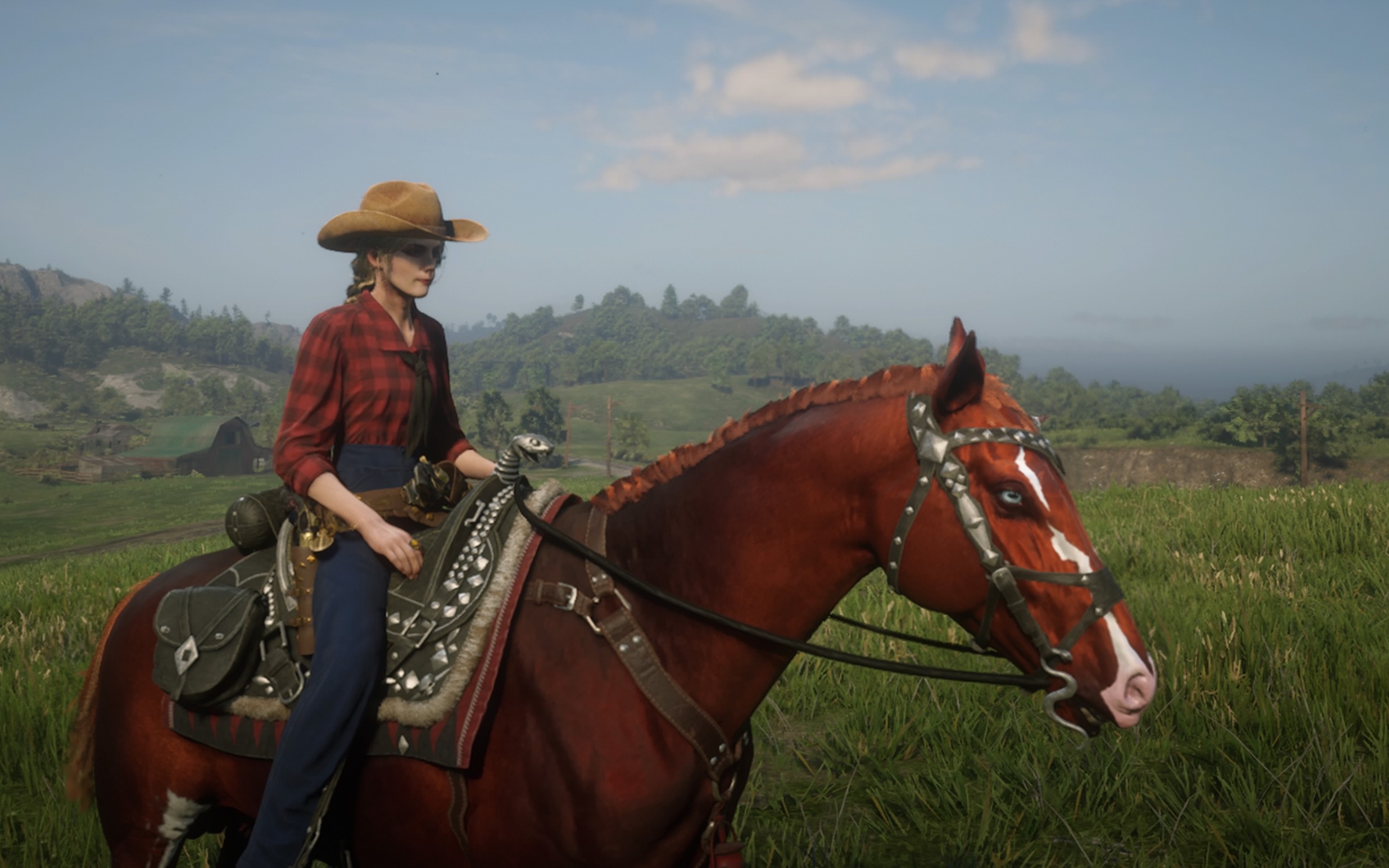 【荒野大镖客2】分享几套线上模式个人穿搭数据需要自提