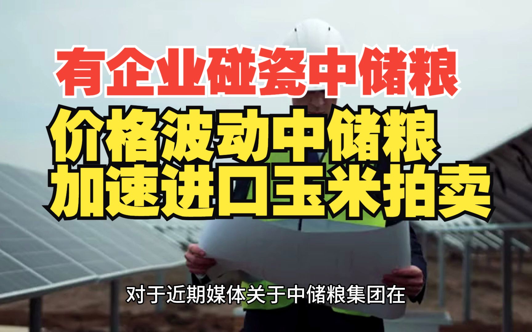 一企业碰瓷中储粮惨遭打脸 玉米价格波动进口玉米拍卖加速哔哩哔哩bilibili