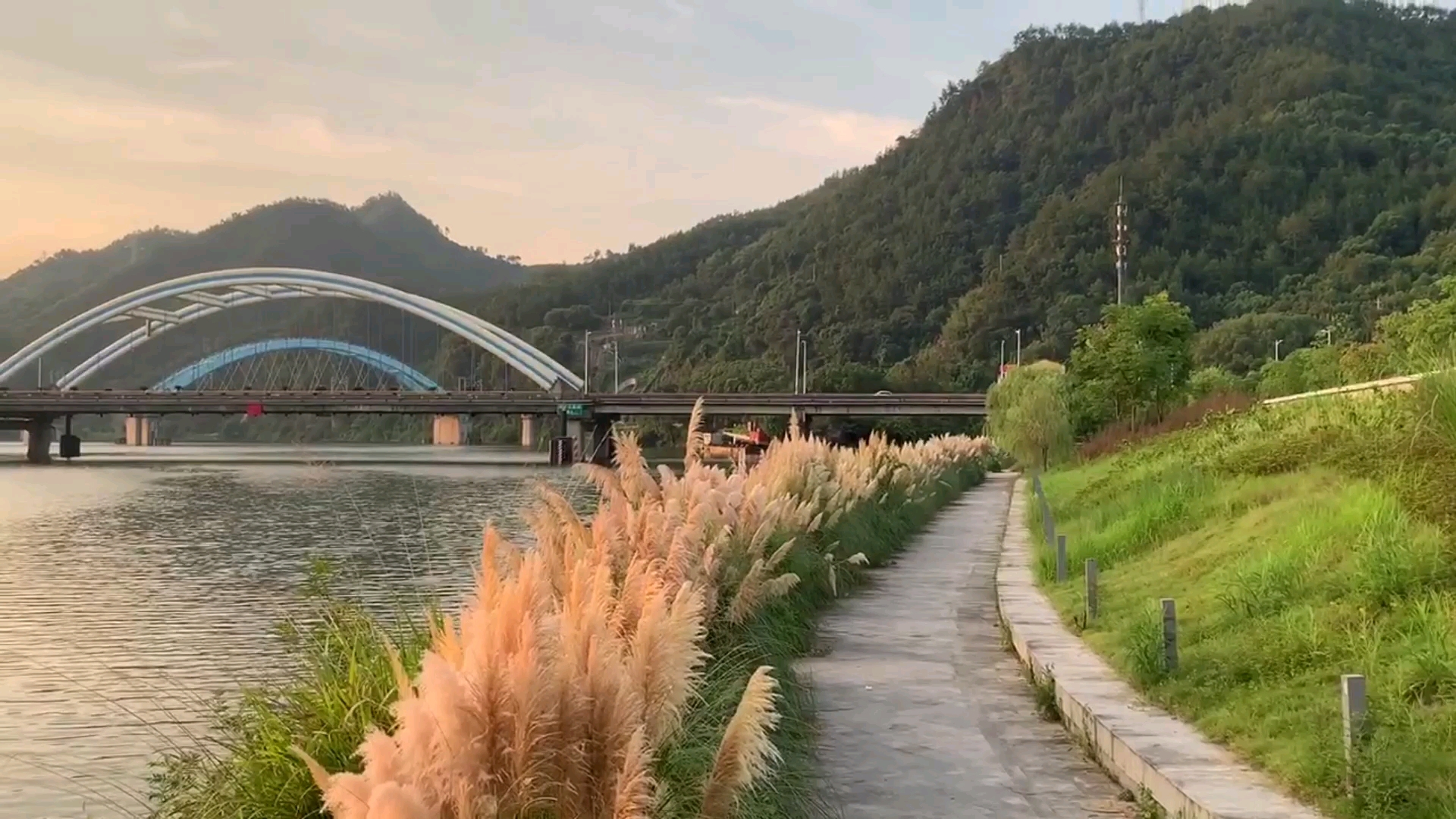 [图]美丽的南明湖公园丽水风景