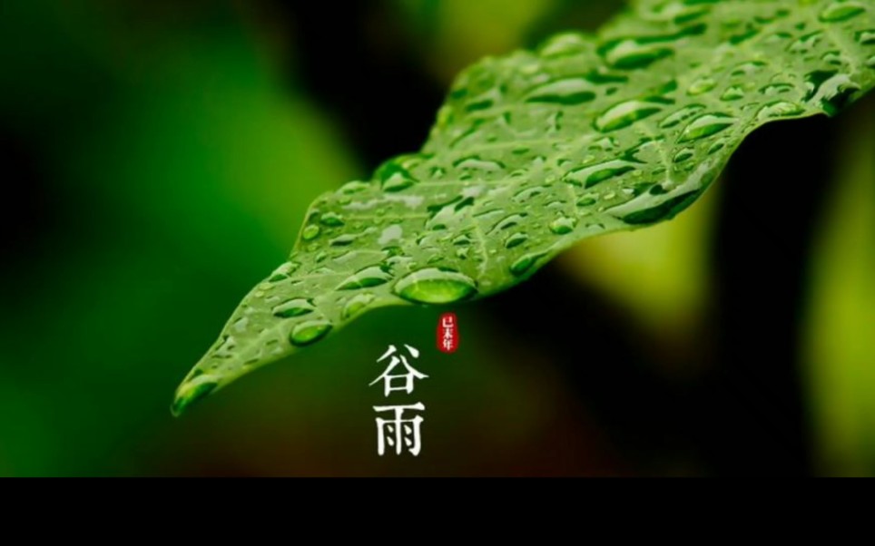 [图]今日谷雨 宜读诗