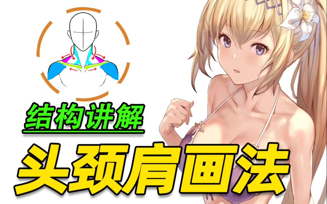 萌新必看!教你正确的头颈肩画法!哔哩哔哩bilibili