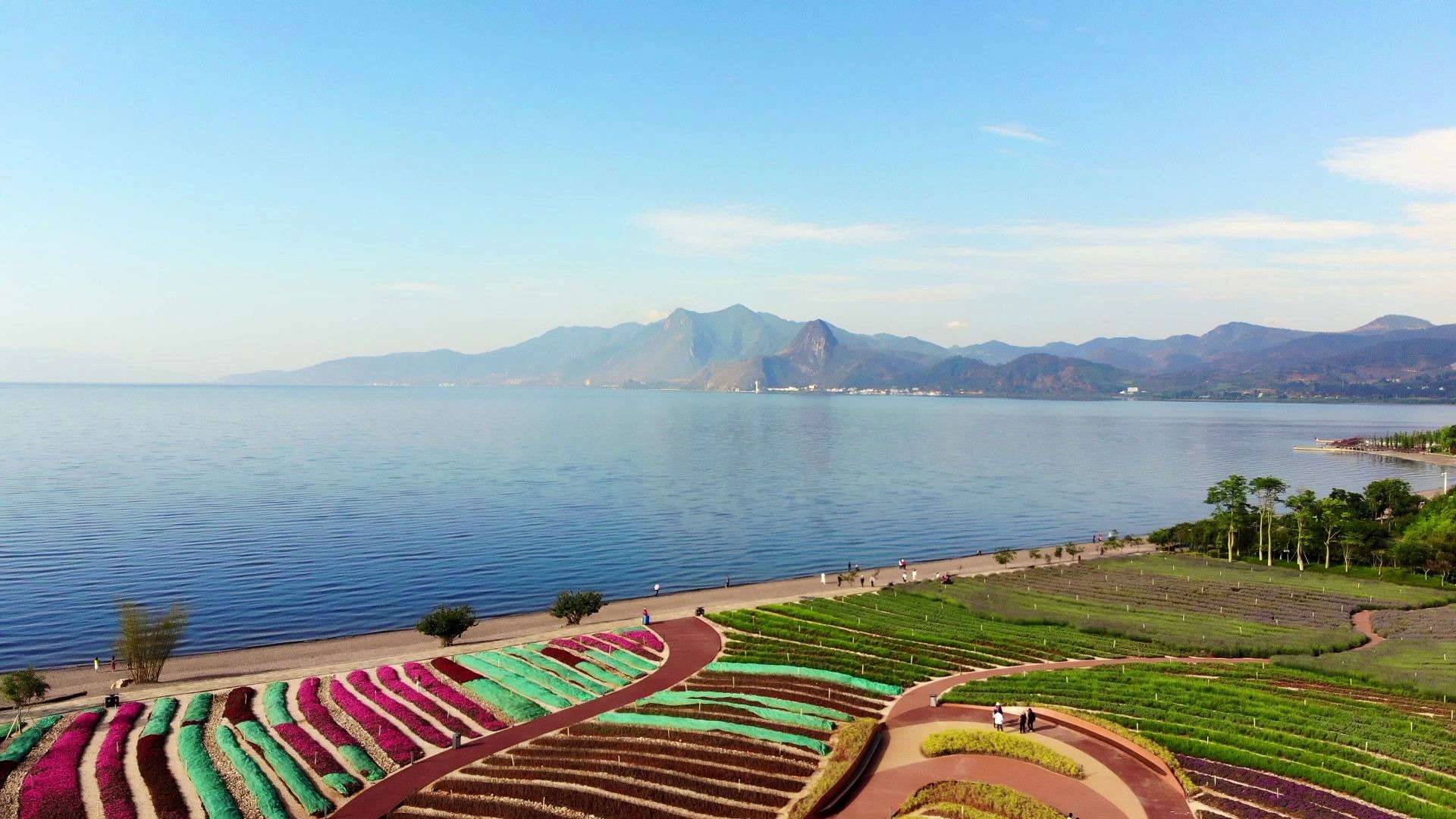【1080p航拍】mavic air抚仙湖航拍·广龙抚海湾湿地公园