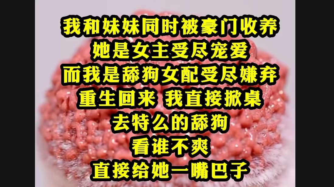 我和妹妹同时被豪门收养,她是女主受尽宠爱,而我是舔狗女配受尽嫌弃,重生回来,我直接掀桌,去特么的舔狗,看谁不爽,直接给她一嘴巴子....哔哩哔...