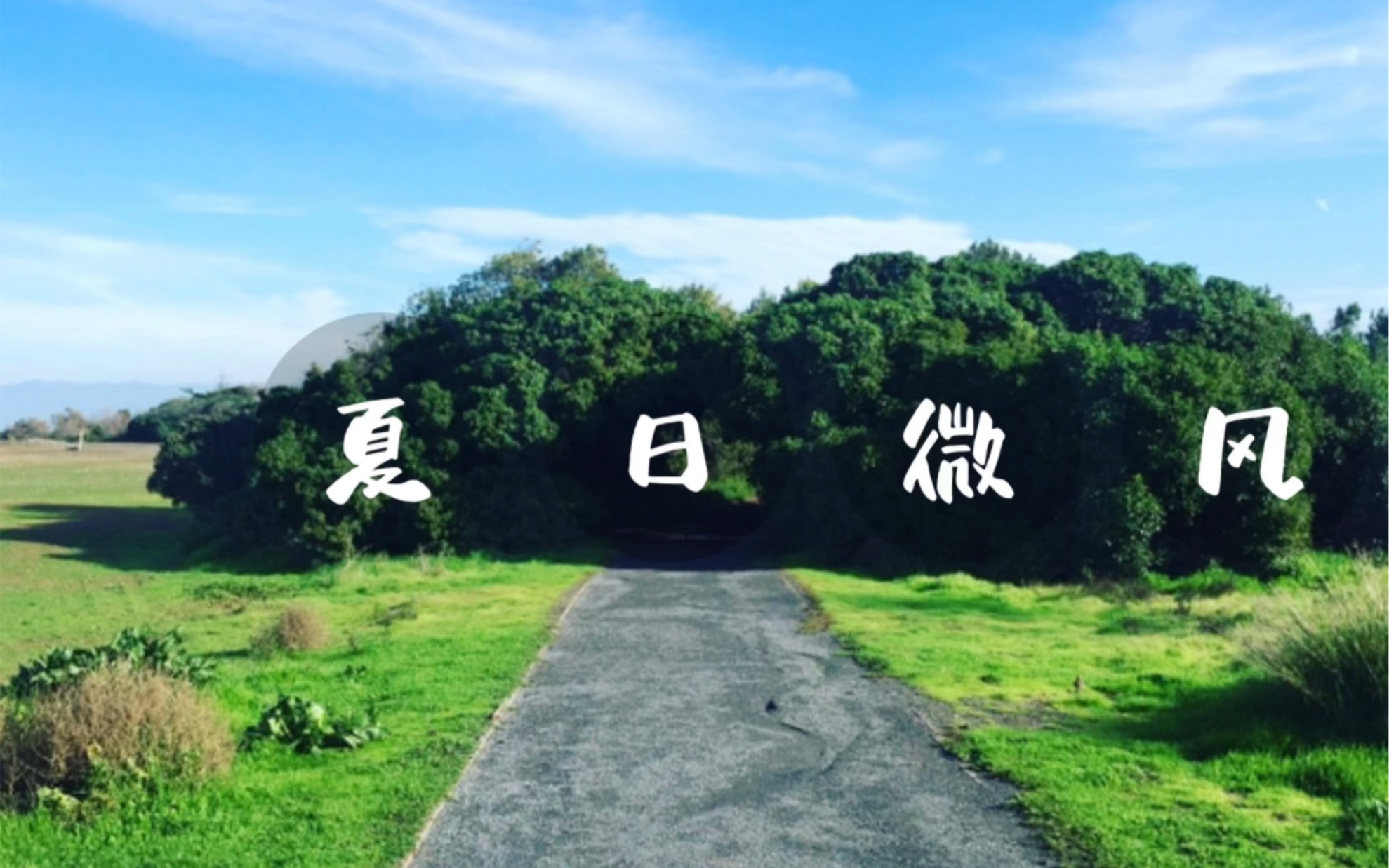 summer breeze 夏日微风|神圣之梦原创炼金水晶钵疗愈音乐