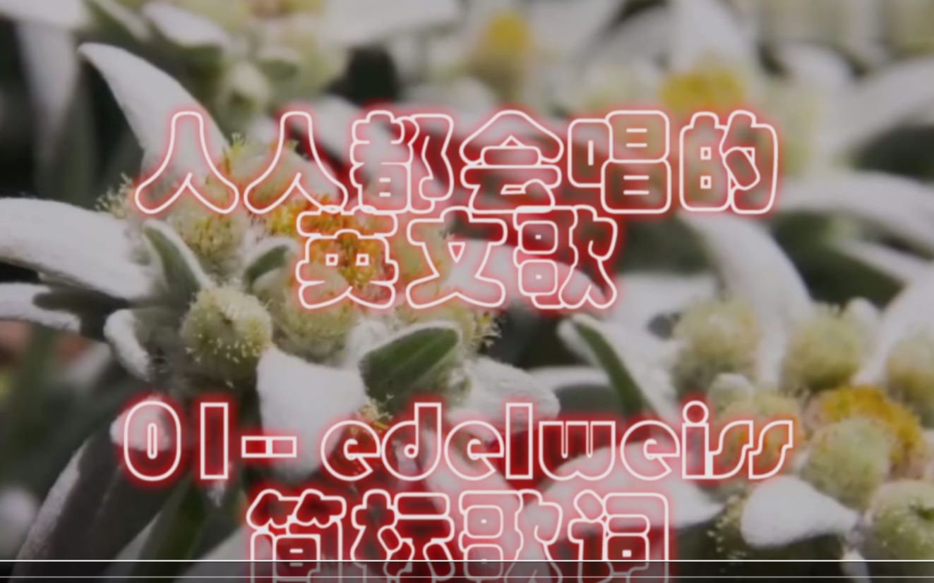 人人都能学会的英文歌01- Edelweiss(简标歌词)_哔哩哔哩_bilibili