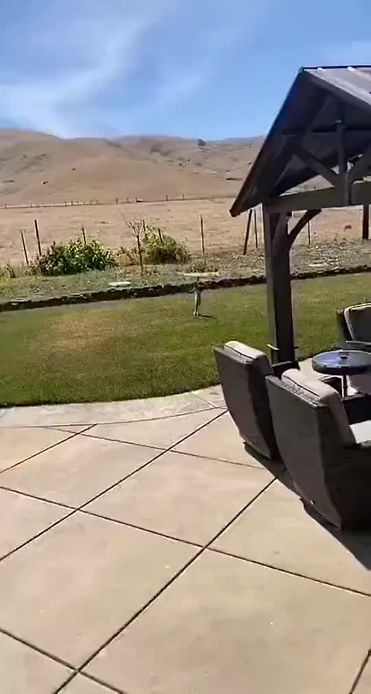 本届街舞冠军表演的托马斯回旋踢