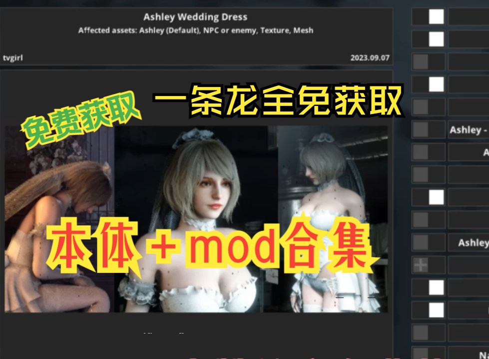 【生化危机3重置版】千款MOD整合包【生化危机4重置版】【生2重置版】以及生8枪械包、功能、美化、绅士清凉MOD以及生8免费获取单机游戏热门视频