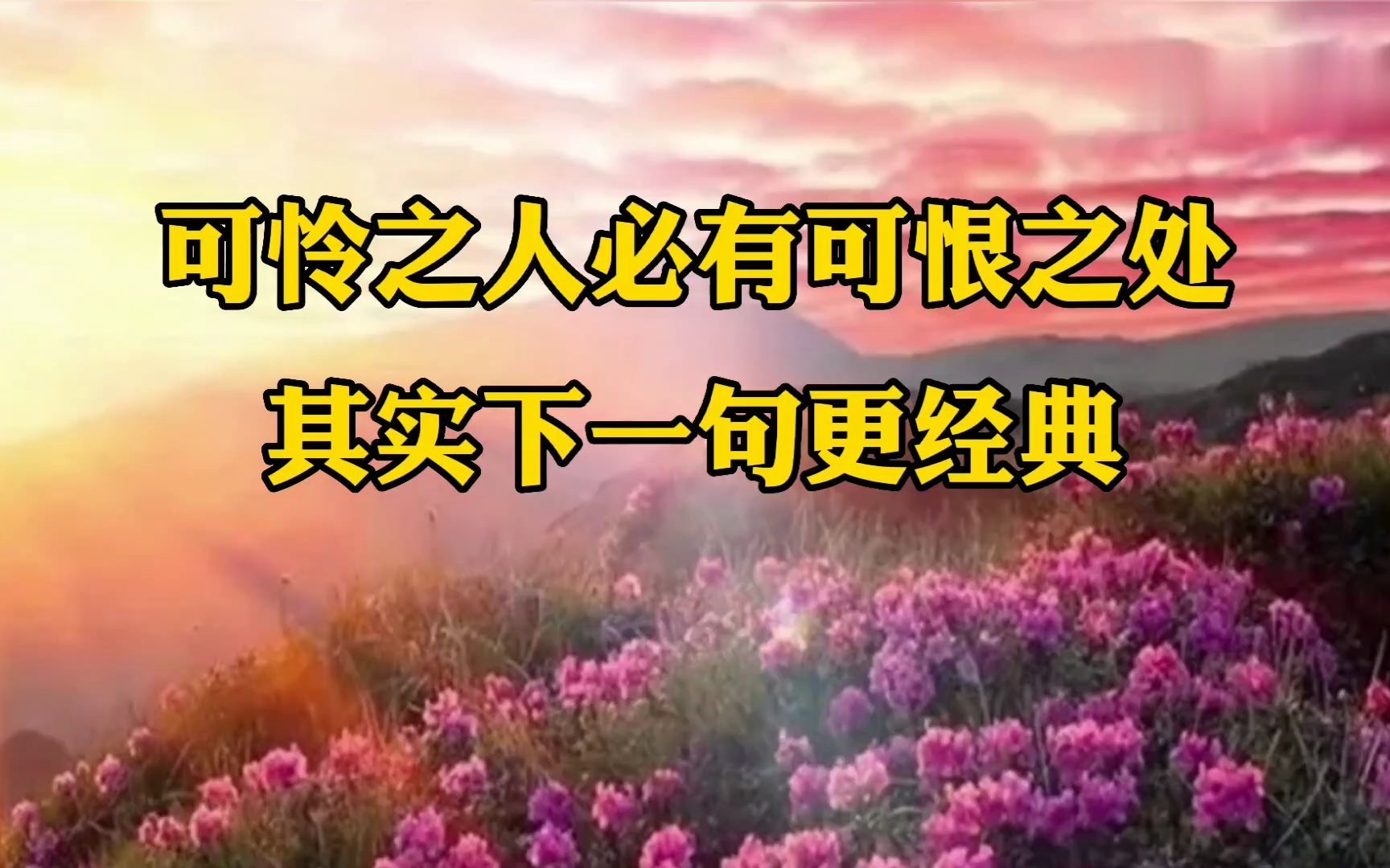 《可怜之人必有可恨之处》下一句更经典
