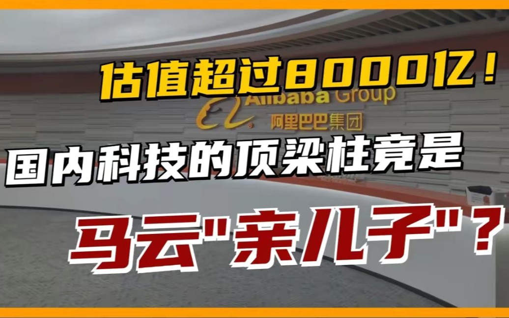 吸金200亿,跻身全球第三!马云养大的科技巨头,把美企挤出中国!哔哩哔哩bilibili