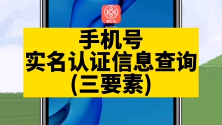 手机号实名认证信息查询,手机号三要素验证哔哩哔哩bilibili