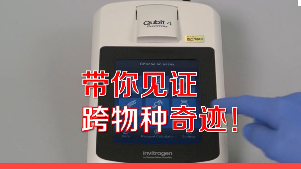 进阶应用！Qubit系统的多功能检测方案！