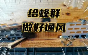 Descargar video: 养蜂通风好，强群产蜜高