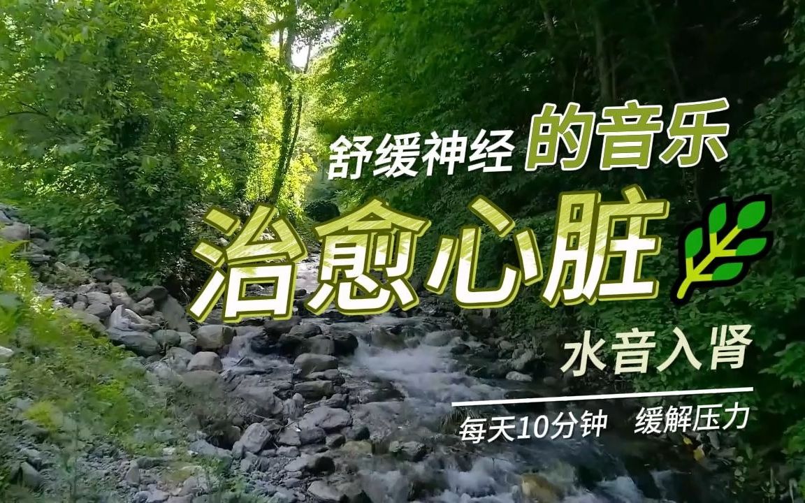 [图]治愈心脏和血管的音乐🌿 调节神经系统并取悦灵魂，水音入肾