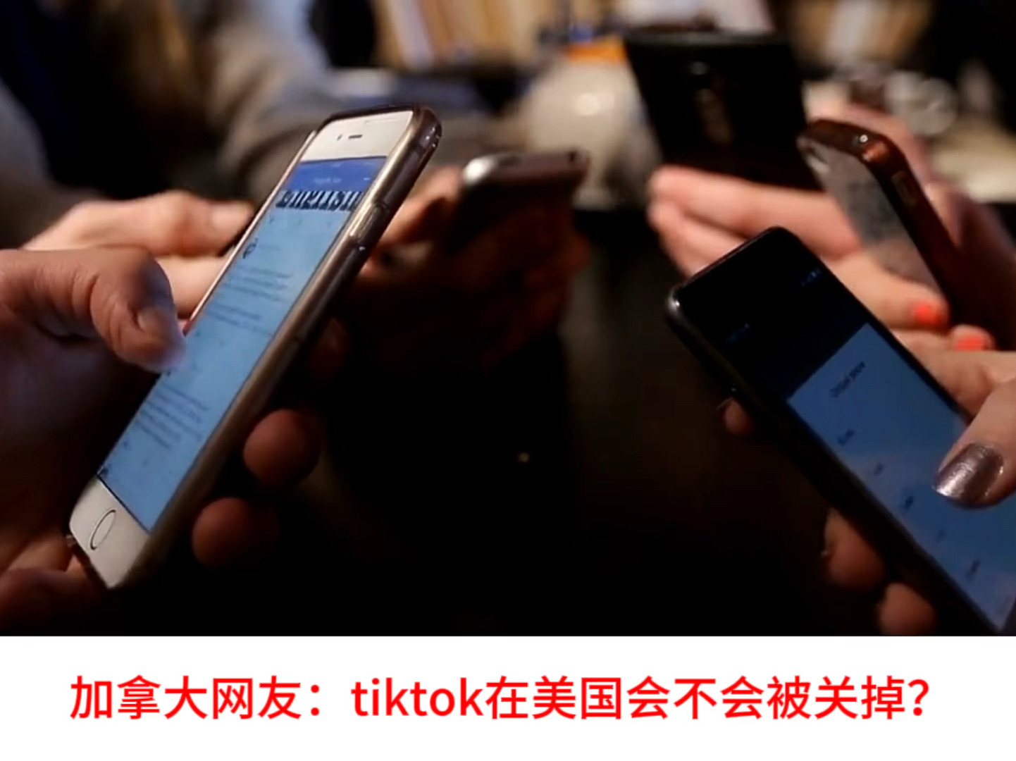 外网看德国总理朔尔茨加入tiktok,法国网友:至少他比美国政客清醒哔哩哔哩bilibili