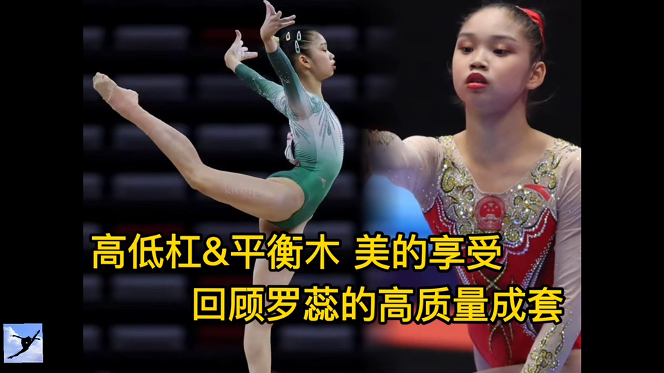 回顾罗蕊的高质量成套