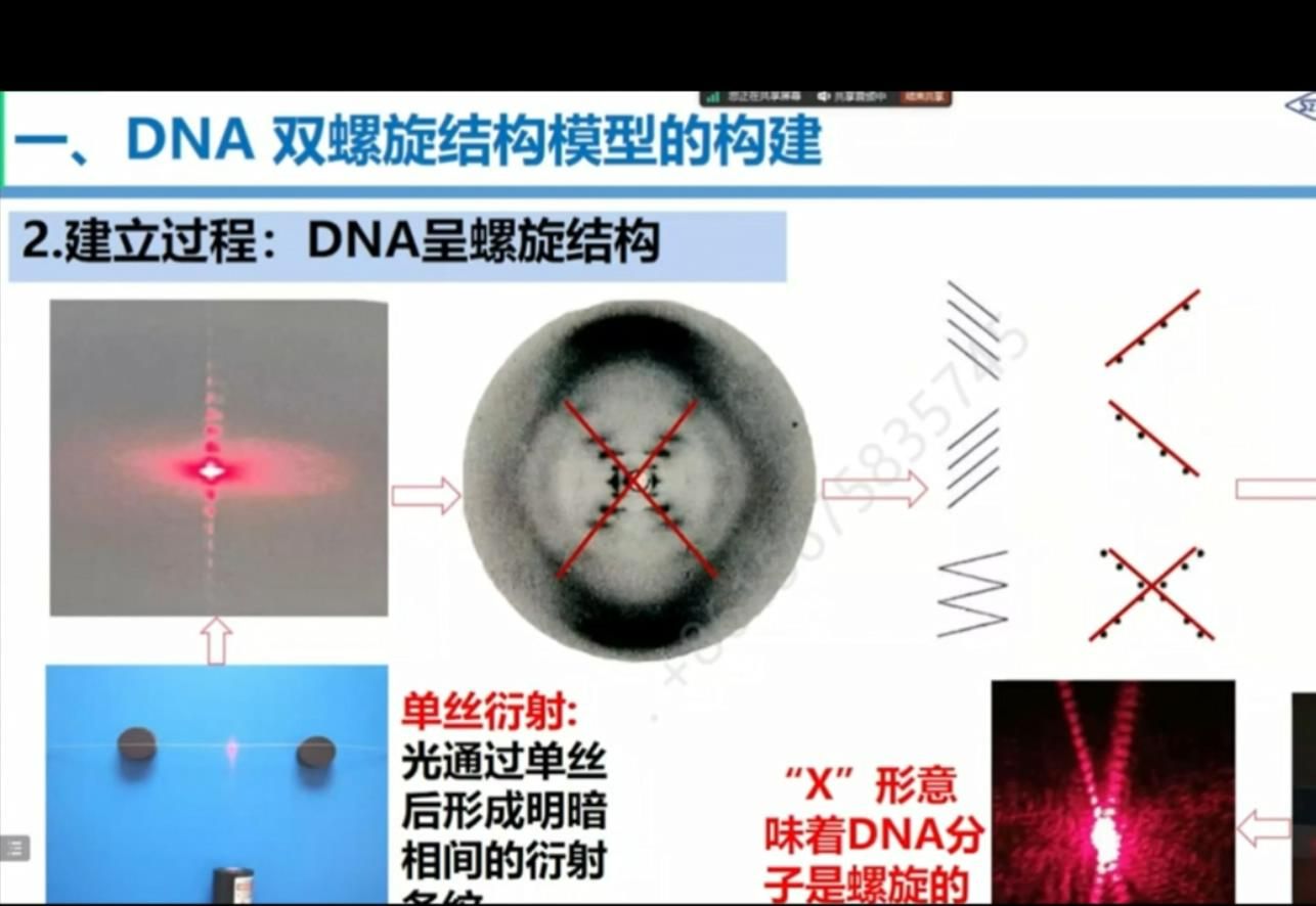 特等奖获得者《DNA的结构》全网最清晰的授课哔哩哔哩bilibili