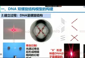 Download Video: 特等奖获得者《DNA的结构》全网最清晰的授课