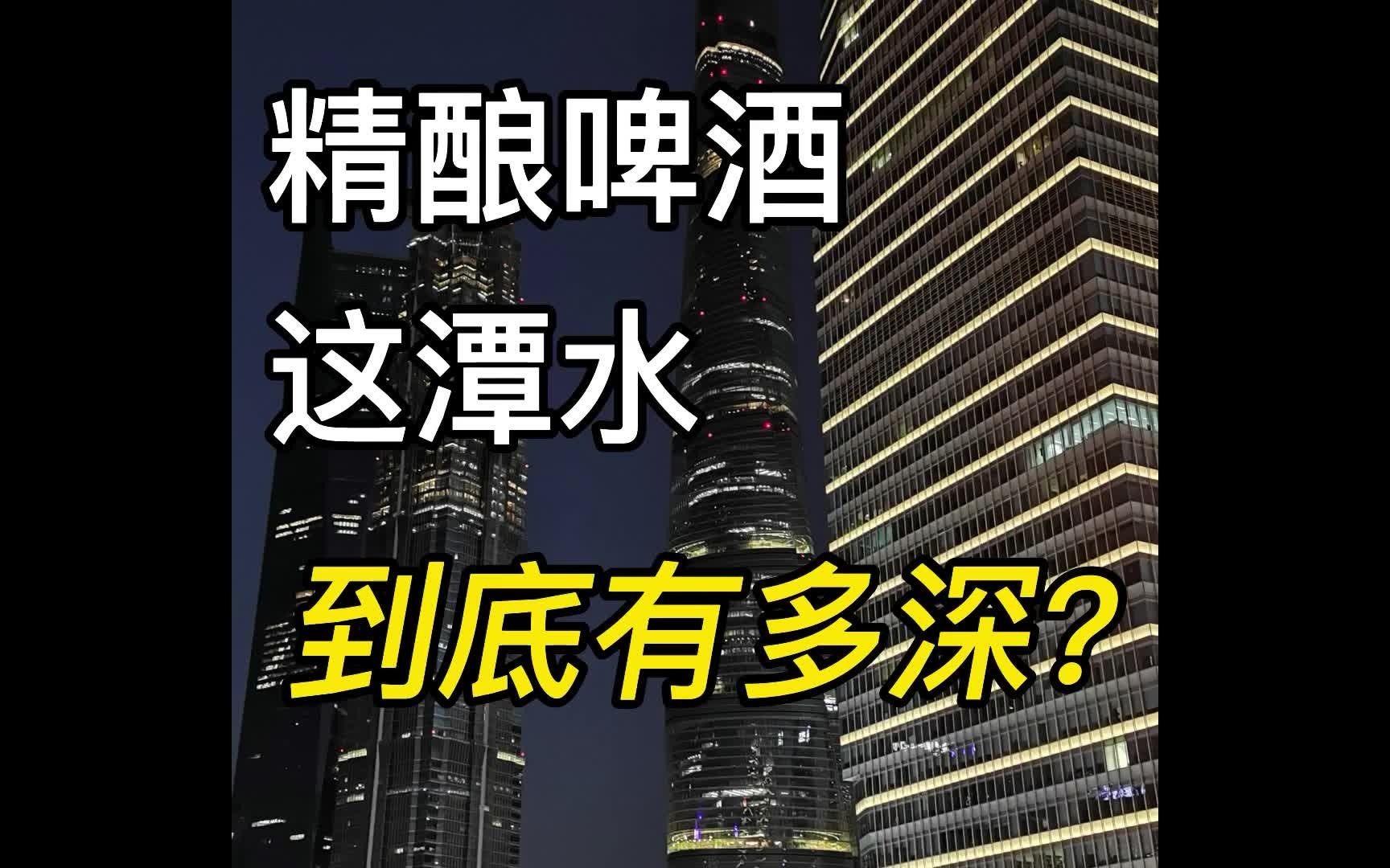 精酿啤酒这潭水到底有多深?怎么区分工业啤酒和精酿?5个方法评判一款精酿啤酒是不是好啤酒哔哩哔哩bilibili