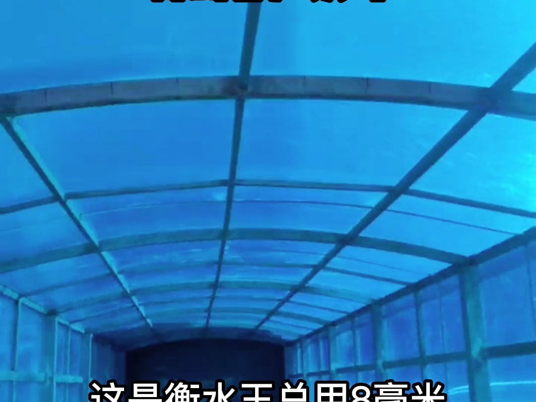 8毫米湖蓝色阳光板做的小区遮阳棚,来自客户的真是反馈#阳光板耐力板 #厂家实拍 #晾晒顶棚高透光采光亮瓦厂家 #耐力板雨棚优点和缺点 #铝合金雨棚哔...