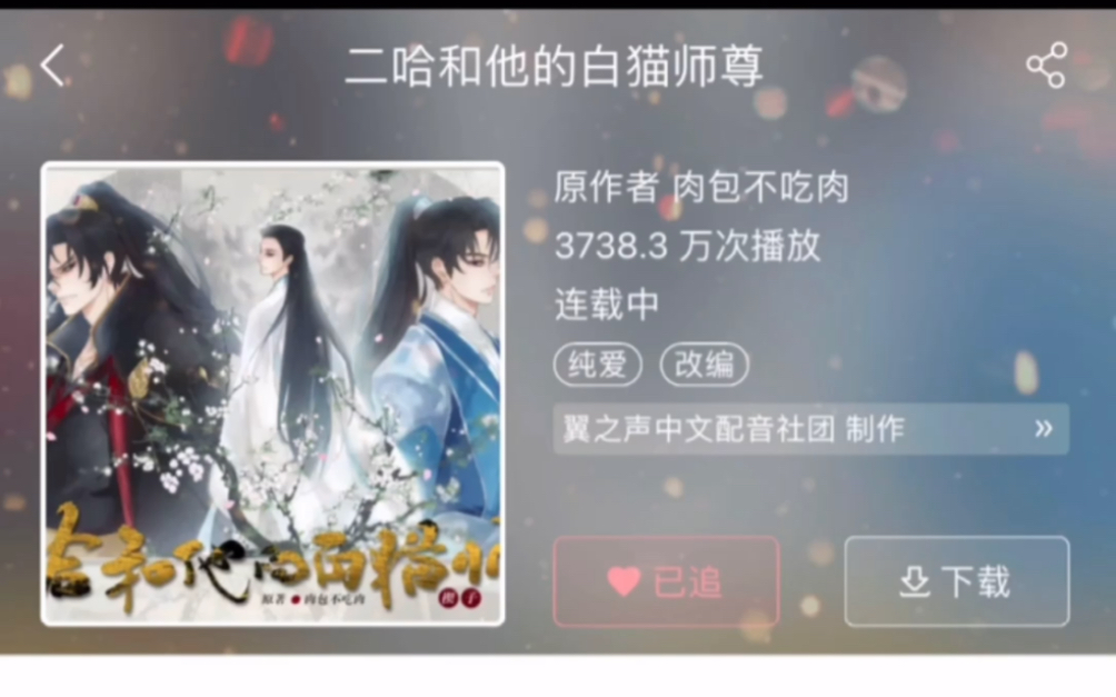 猫耳免费广播剧(耽)哔哩哔哩bilibili