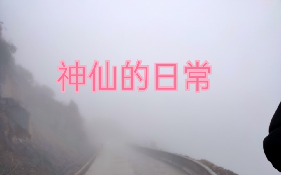 十 面 “霾” 伏 , 其实都是雾!哔哩哔哩bilibili