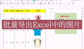 Download Video: 批量导出excel中的图片？