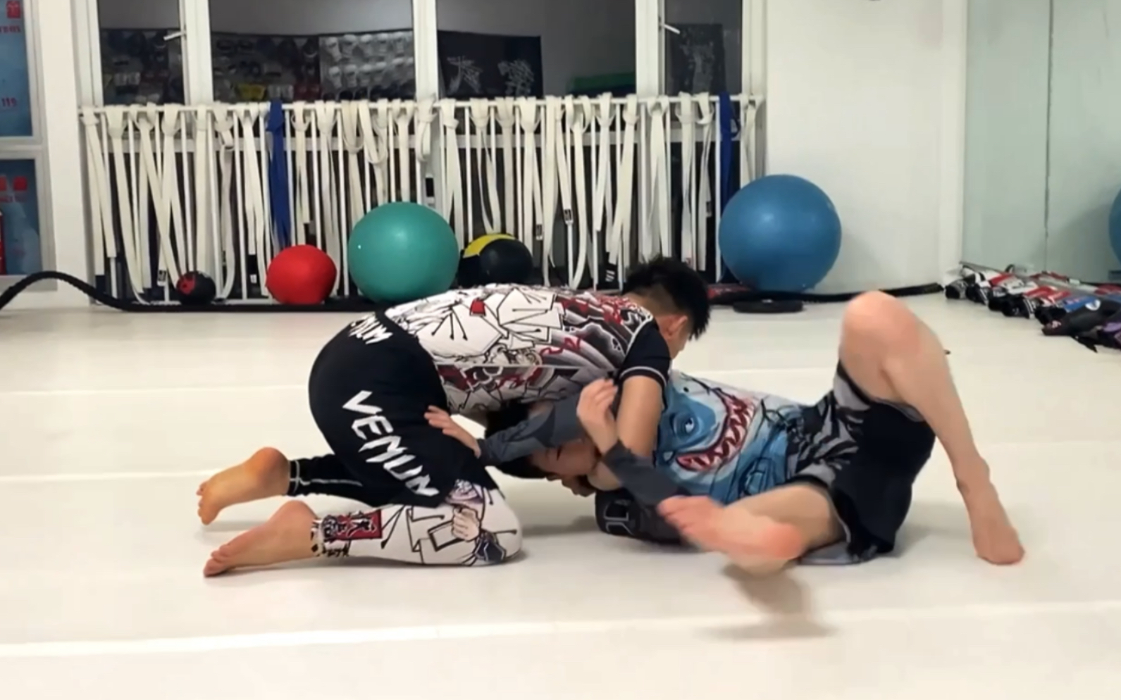 达斯绞和蟒蛇绞_哔哩哔哩_bilibili