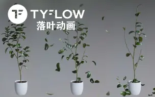 Download Video: Tyflow植物风吹落叶动画效果