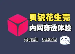 Download Video: 10分钟在内网搭建网站，无需公网IP！贝锐花生壳内网穿透体验