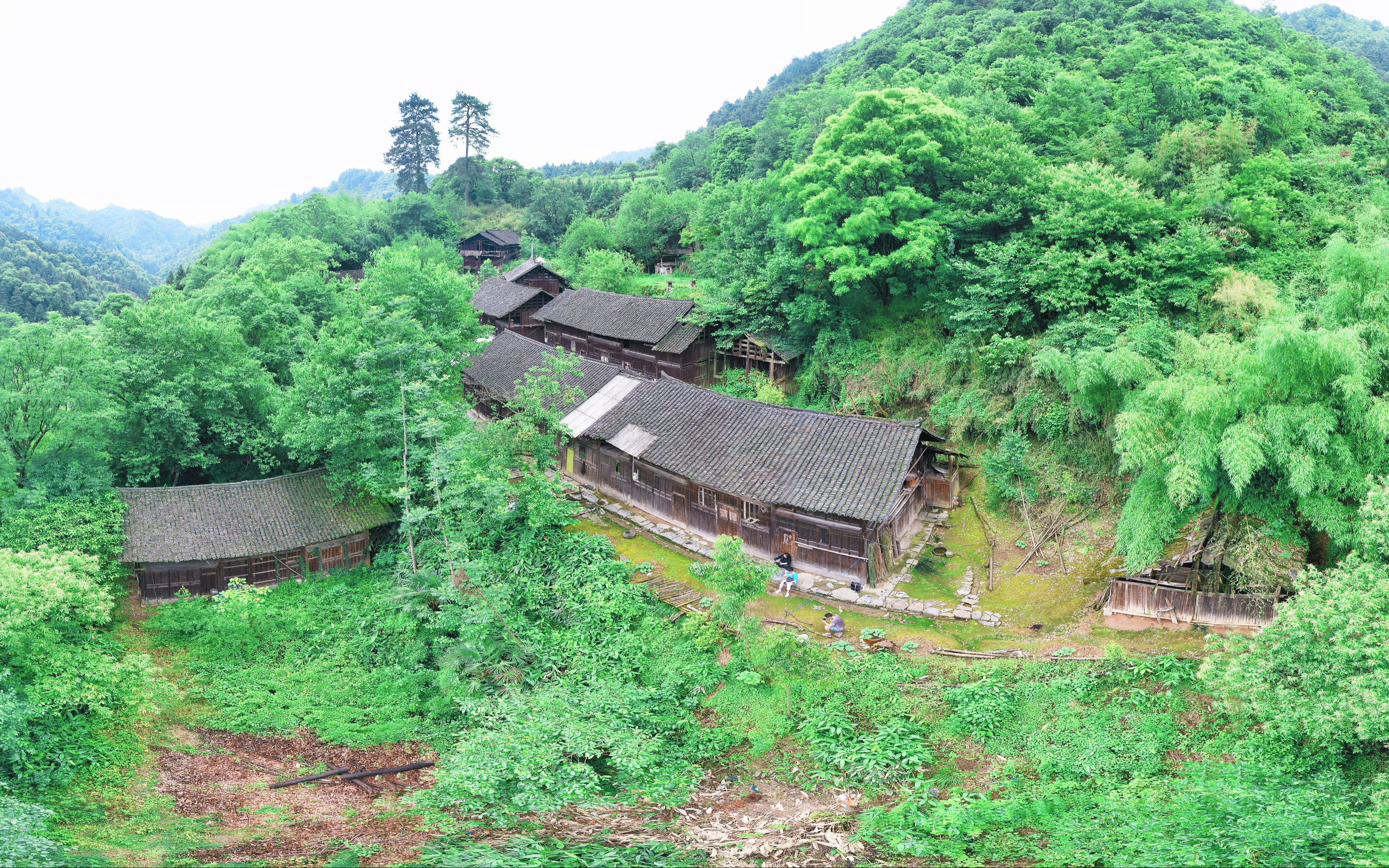 消亡中的村庄:辰溪县田湾镇枫香塘村杨家岭(2021年5月25日)哔哩哔哩bilibili