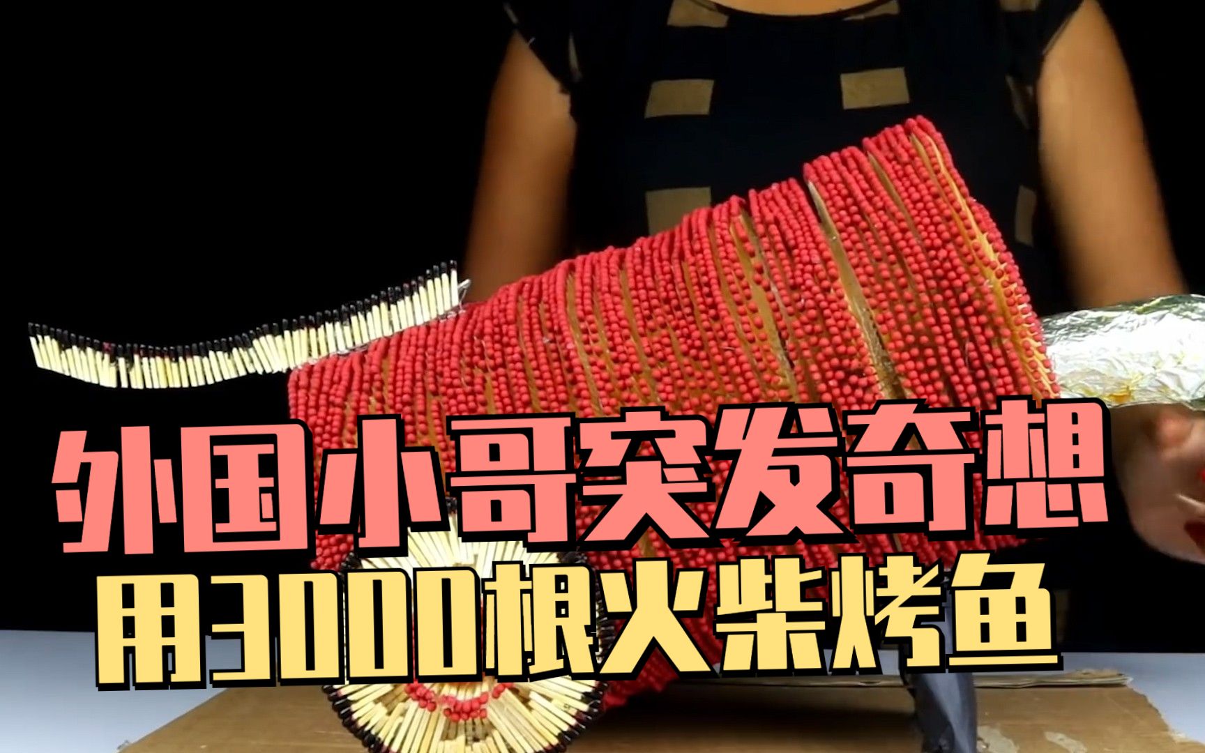 外国小哥脑洞太大,用3000根火柴组成大炮,竟是为了对付一条鱼!
