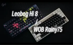 Tải video: 铝坨坨大比拼：Rainy75 VS Hi8，到底谁更胜一筹？