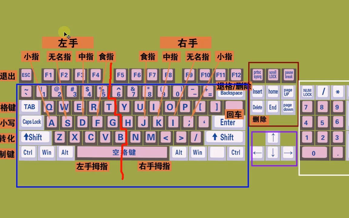 零基礎快速學拼音學五筆打字教程,鍵盤打字快速入門