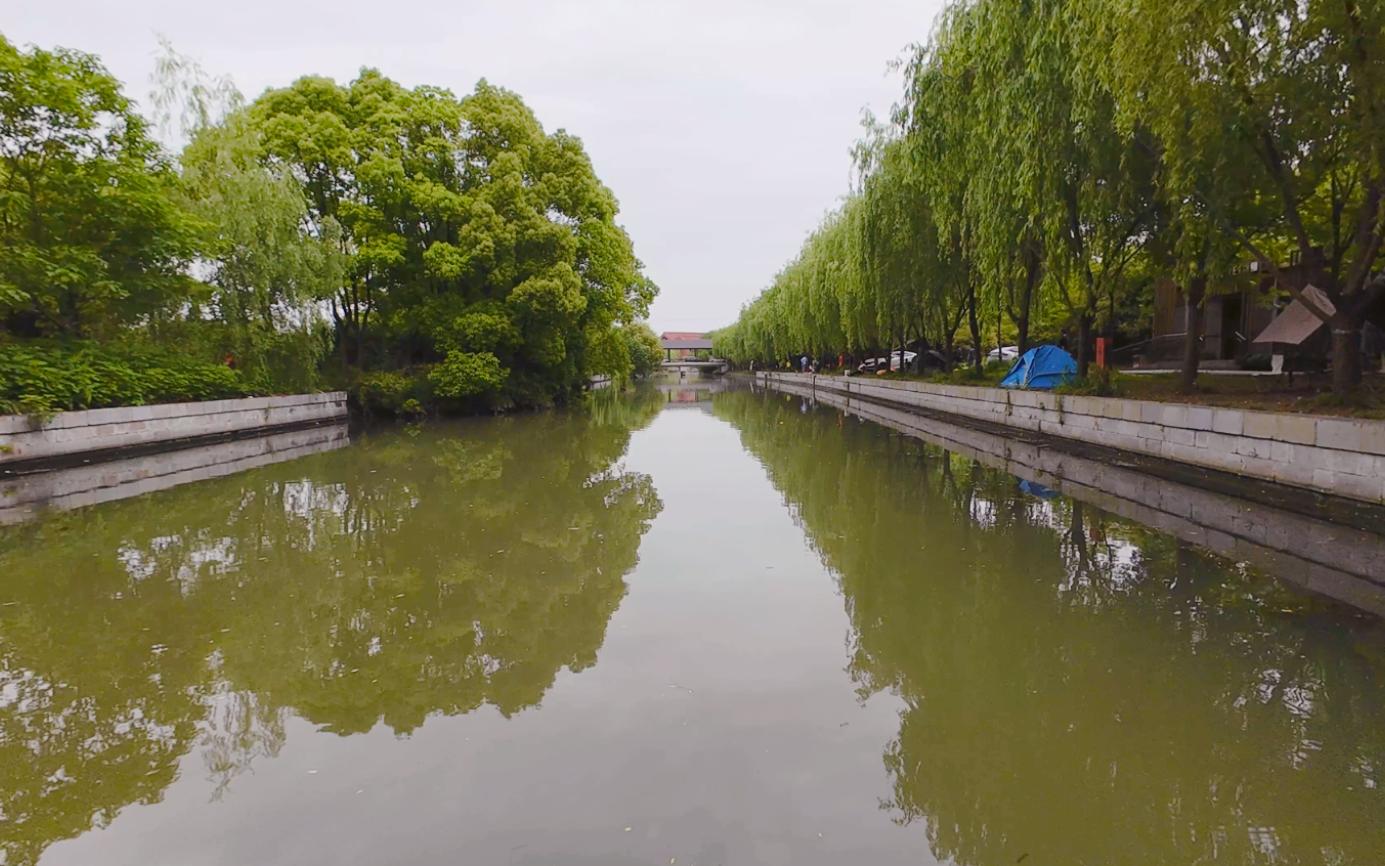 周末广富林公园游玩vlog