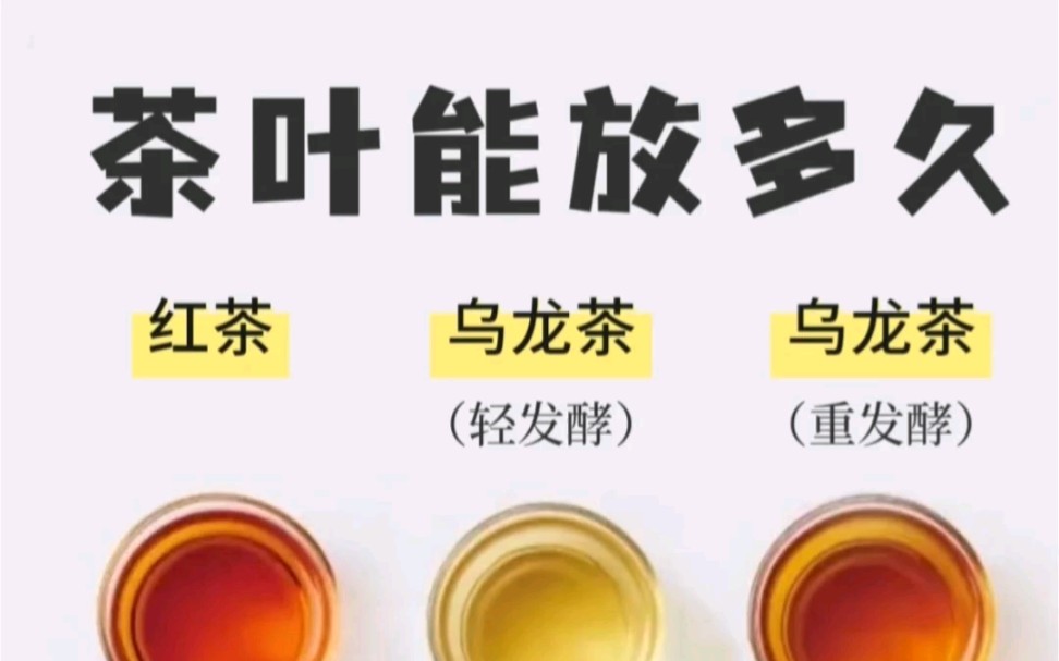 茶叶到底有保质期吗?茶叶储存宝典哔哩哔哩bilibili