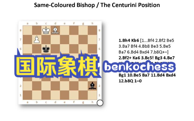 Knight Endgame / Benković Petar #chess #benkochess #benkovic