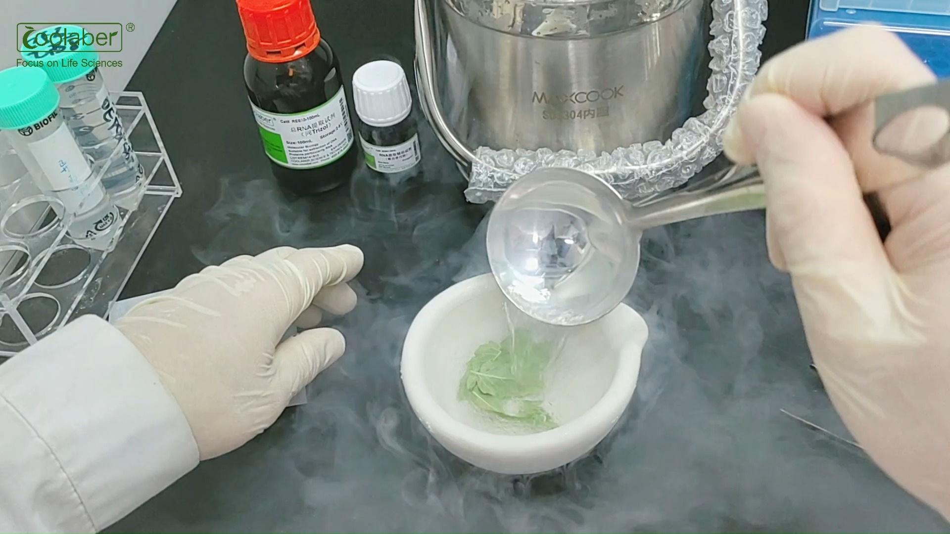 Expert hands-on: RNA extraction best practices